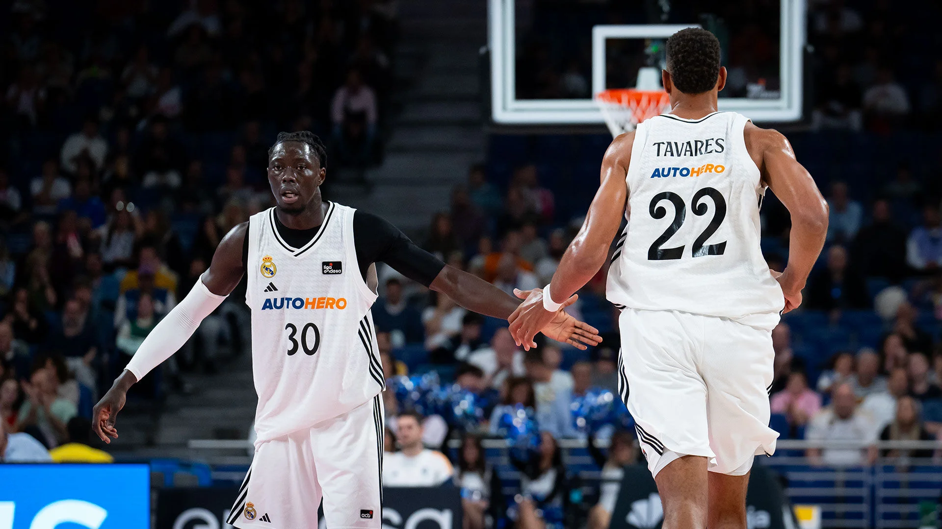 Real Madrid-Dreamland Gran Canaria: el equipo vuelve al WiZink Center