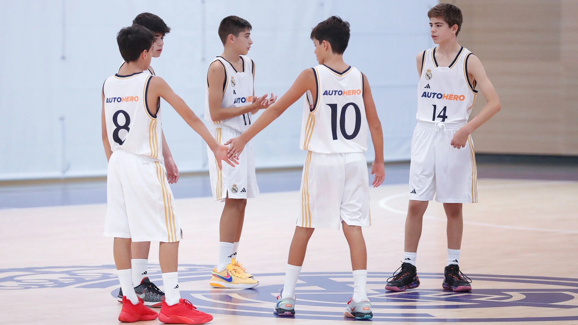 Pruebas de acceso a la cantera de baloncesto