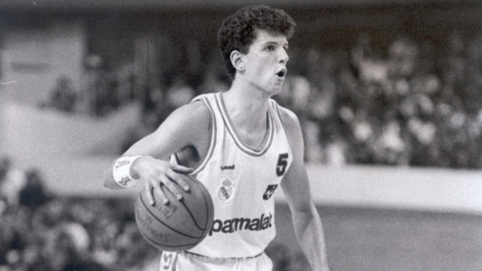 31 years since Petrovic left us