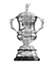 FA WSL Continental Cups